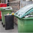Green bin collections in Doncaster have been suspended.