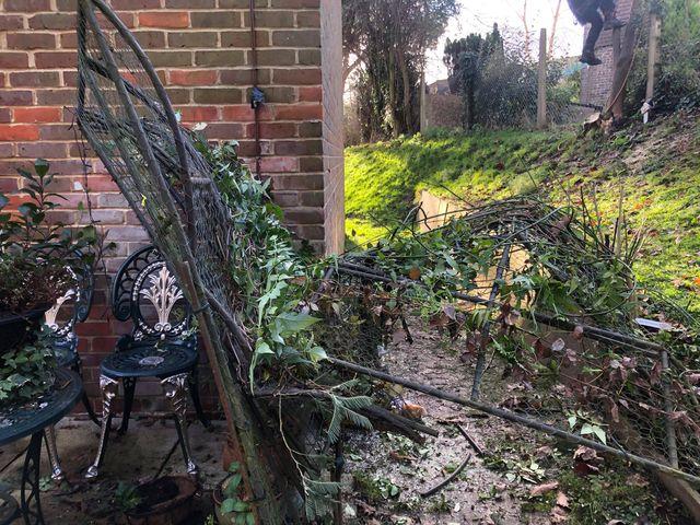 Storm Bella brought down a tree at a home in Wickham