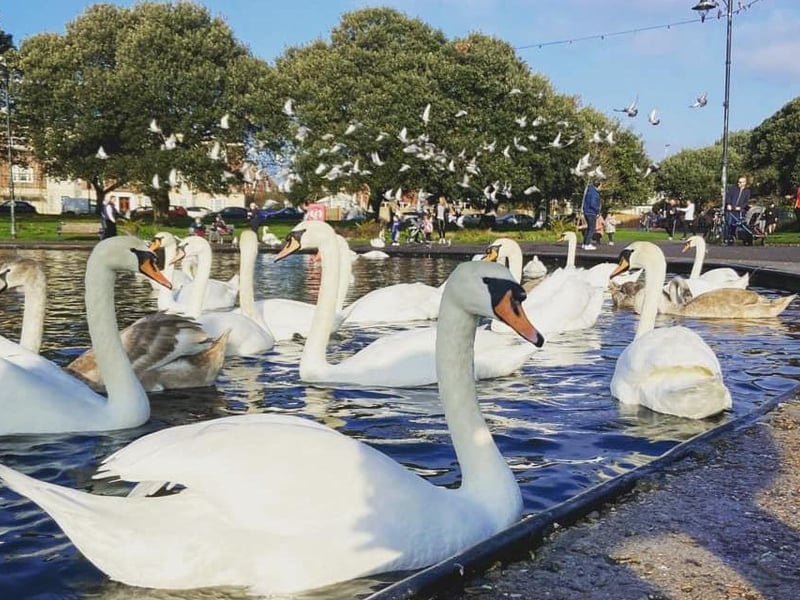 Facebook followers of The News, Portsmouth have submitted their favourite photos theyve ever taken in the city.