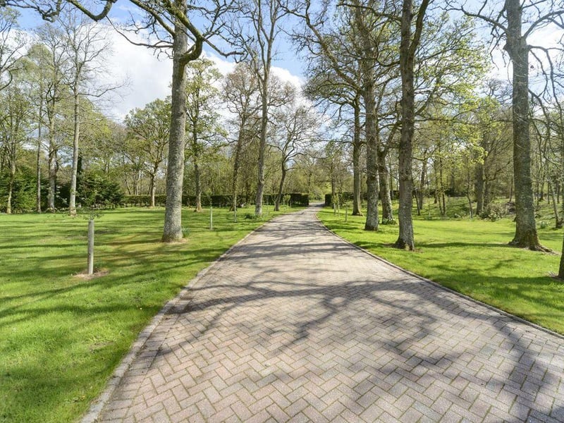 Driveway.