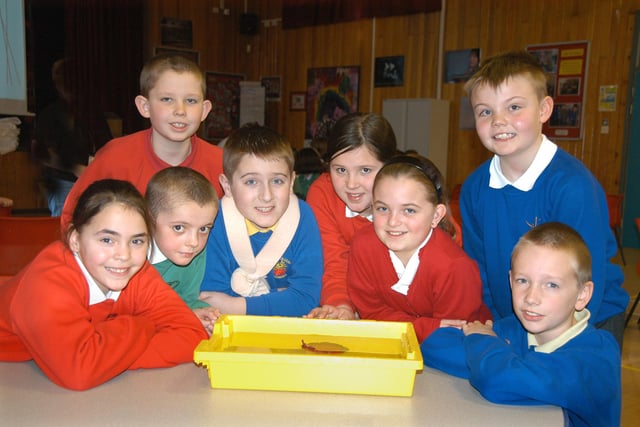 Children from the seven feeder schools for the Easington Community Sports College were learning how to make and sink boats in 2009.