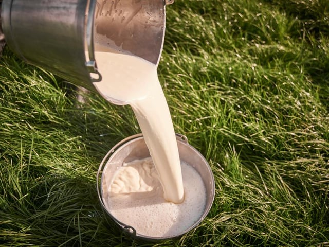 It was an ancient custom in the Highlands and Islands that on Lammas Day a ball of hair was put in the milk pail to help keep it good and strong and protect it from dark spirits.
