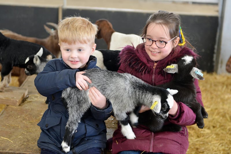 Nearby in Newark, children were excited to be able to pet baby goats at White Post Farm as they reopened their doors to the public.