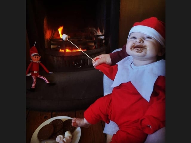 Bubbles takes mummy's chocolate biscuits on December 15.