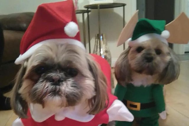 Mable and Rubee are ready for action on Christmas Eve, if Santa needs a hand.