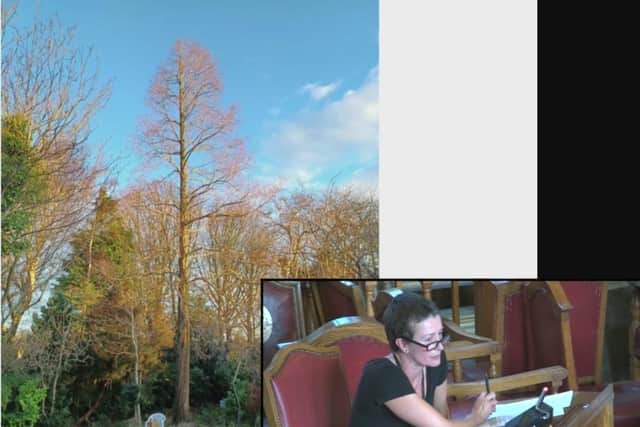 Sheffield City Council officer Vanessa Lyons speaking at a council planning meeting about the preservation order request for a tree planted in a Crosspool garden. The grandchildren of the man who planted the tree made the application