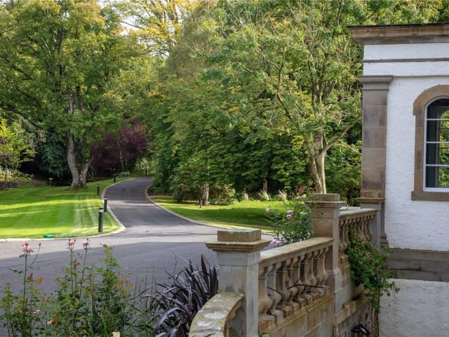 Driveway.