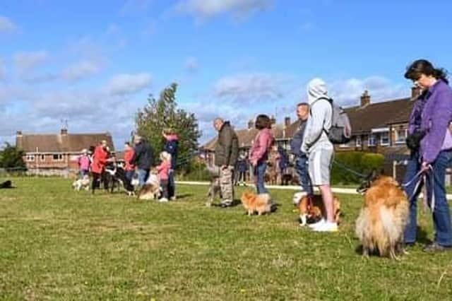 Hundreds turned out to for the dog show