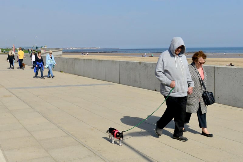 A dog - and his humans - enjoy their walk at Seaton Carew.