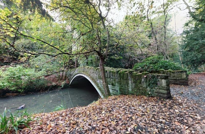 A family favourite across the North East, Jesmond Dene is a true gem. 

It is easy to get lost in the hills and greenery of the Dene, and if you are feeling ambitious, you could walk through to the Quayside.