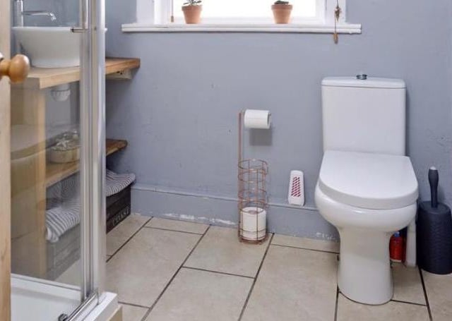 Ladyrig Lodge - bathroom.