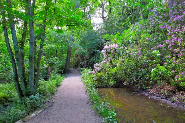 If you want to enjoy a longer walk, take a wander along this seven mile linear walk which stretches from from Meanwood Valley through to Breary Marsh, next to Golden Acre Park, meandering through pretty woodland along a relatively flat route, fit for all abilities.