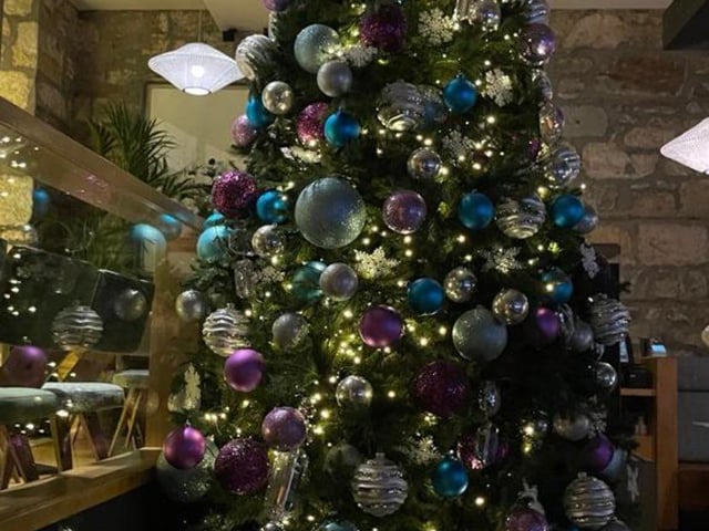 Another tree in blue, but this one's at St Andrews brasserie, The Adamson.
127 South Street, www.theadamson.com