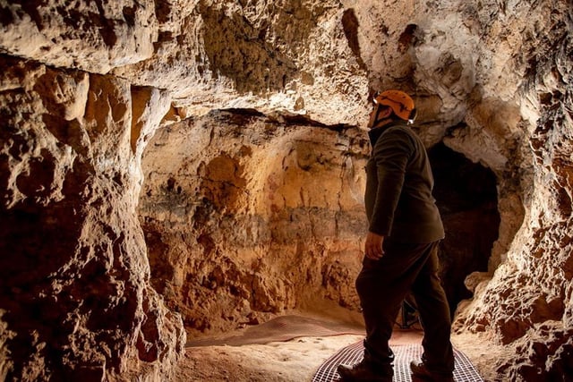 Take the family to Creswell Crags to explore its historic, limestone caves with the help of expert tour-guides. You're sure to learn something new, have a fun adventure and be in awe of how many stories from the past, including the Ice Age, are brought to life. Located at Whitwell, near Worksop, the caves are open on Saturday and Sunday.