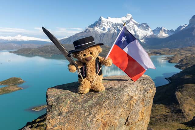 John James the teddy bear gaucho with a real Condor feather on the amazing view point in the Torres del Paine national park in Chile 
These adorable teddy bears could be the world's most well-travelled cuddly toys - as their photographer owner has chronicled their adventures in 27 different countries. Christian Kneidinger, 57, has been travelling with his teddy bears, named John and Bob since 2014 - and his taken them to some of the world's most famous landmarks. The teddy bears have dressed up in traditional Emirati clothing to visit the Sultan's Palace in Oman, and have braved the cold on a glacier on Lofoten Island in Norway.