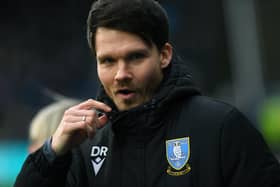 Sheffield Wednesday manager Danny Rohl