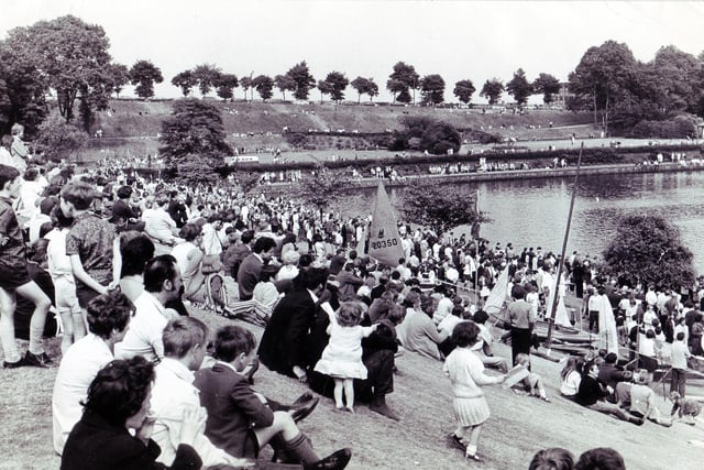 Hundreds of people line the grassy hills as they watch on at the Water Sports Gala in the sunshine in 1970.