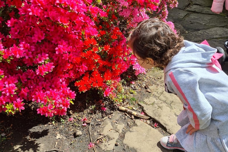 Michelle Russell's daughter is pictured smelling the flowers at Pittencrieff Park.
