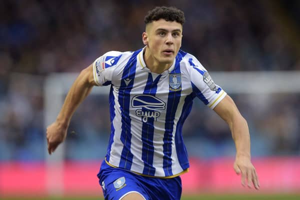 FIGUREHEAD: Striker Bailey Cadamarteri has led the way for Sheffield Wednesday's current crop of youngsters