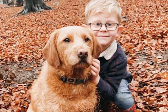 Huxley has enjoyed walks with his friend Carter. Shared by Carla-Rae Wiffen.