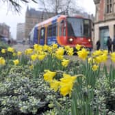 Here is how the King's Coronation weekend will affect Sheffield's public transport on buses, trains and trams.