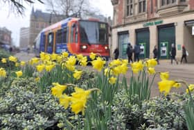 Here is how the King's Coronation weekend will affect Sheffield's public transport on buses, trains and trams.