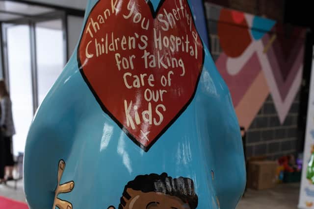 Pete McKee's bear, sponsored by Sheffield Hallam University, is a heartfelt tribute to Sheffield Children's.