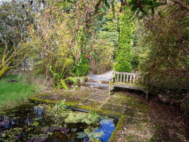 Pond.