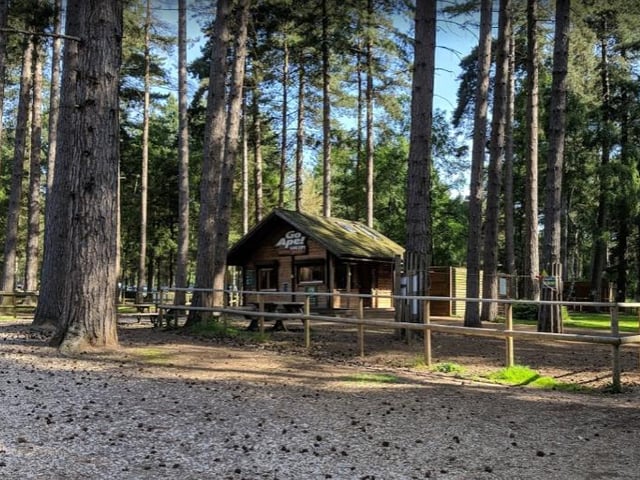 Swing from the treetops and visit Go Ape in Sherwood Pines this weekend and make some unforgettable memories.