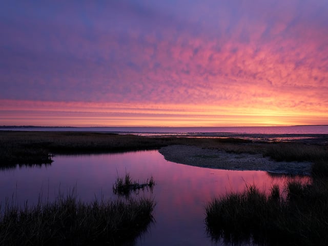 Hoghly commended -Tollesbury Wick marshed in Essex.