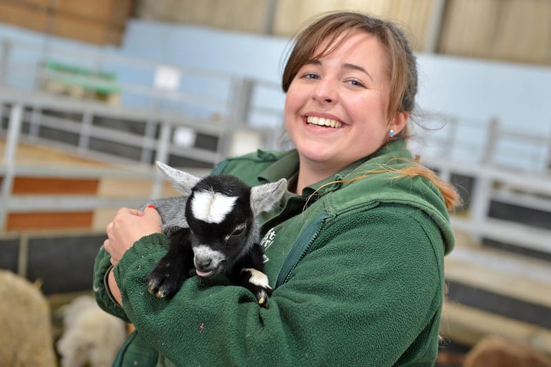 The farm has welcomed many baby goats to the farm during the latest lockdown