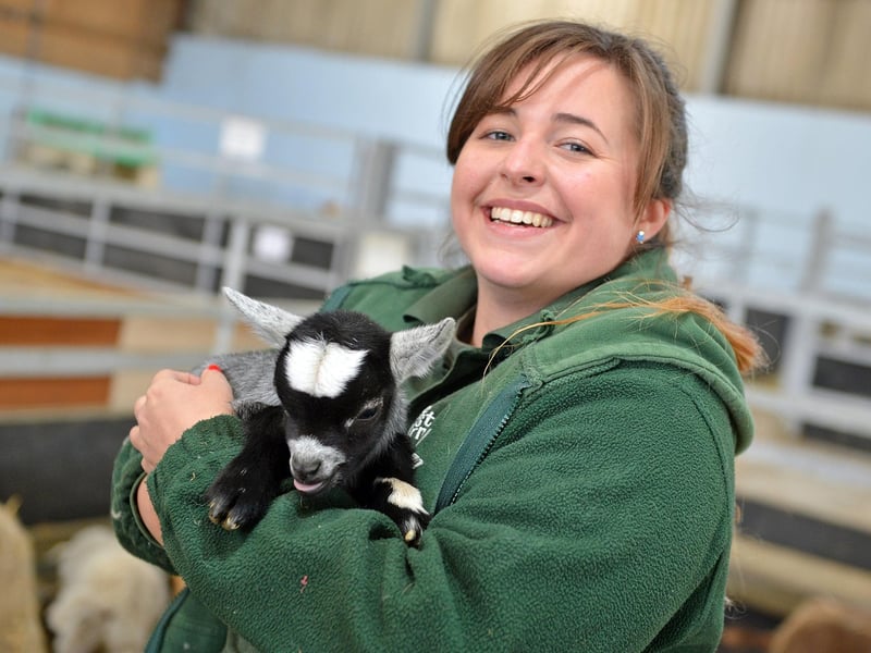 The farm has welcomed many baby goats to the farm during the latest lockdown