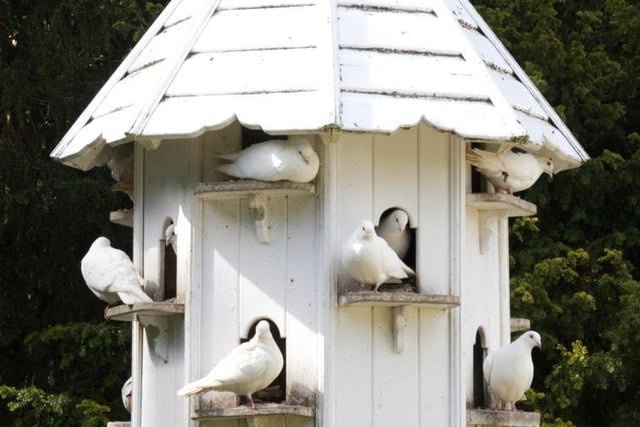A dovecote taken by Mike Nind