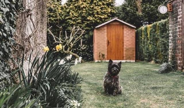 Lots of people and pets have been spending more time in the garden. By @hannahshearmanphotography