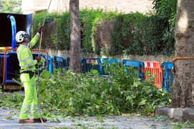 Sheffield Council’s chief executive said she cannot yet say whether anyone will face disciplinary action following an inquiry that exposed the authority’s dishonest and damaging behaviour during the tree felling fiasco.