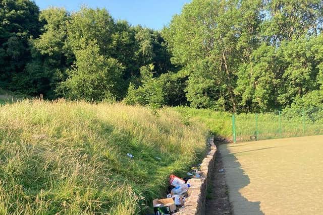 Broken glass bottles and litter were left behind in Bingham Park, Greystones.