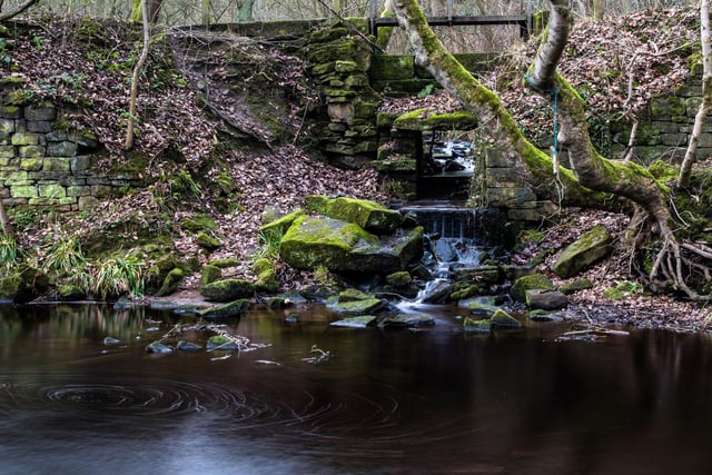 Rivelin Valley Nature Trail. Trip Advisor rating 4.5. A beautiful walk through woodland and countryside