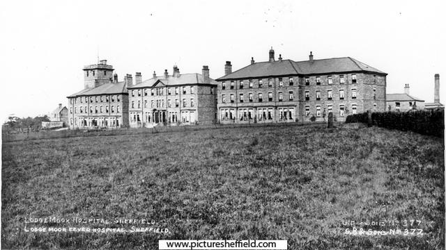 Five additional wards were created at Lodge Moor Hospital by 1920, but cases petered out by the end of the summer.