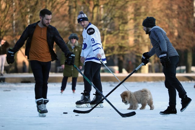 A person walks their dog on a frozen pond in Queen's Park in Glasgow . Picture: Andrew Milligan/PA Wire