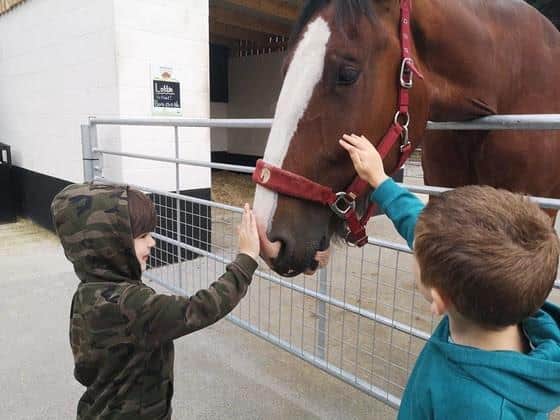 Visitors George and Eli say hello to Lottie the shire horse.