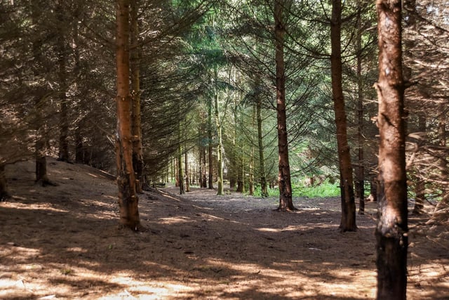 The highlight of this property is the extensive woodland – dense with pine trees and benefitting from several pathways which lead to a tranquil seating area.