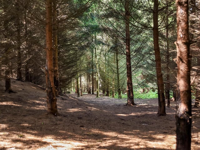 The highlight of this property is the extensive woodland – dense with pine trees and benefitting from several pathways which lead to a tranquil seating area.