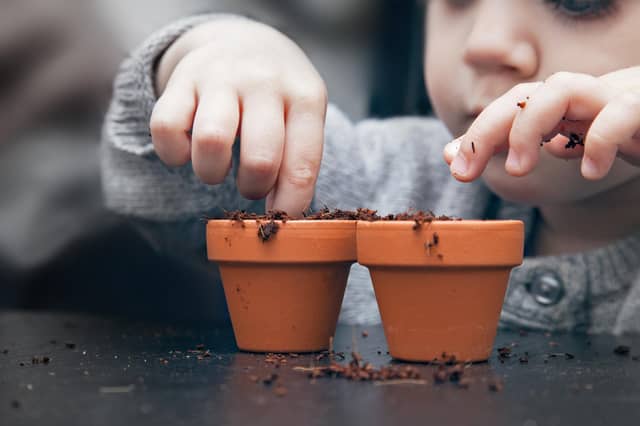 Keeping kids brains ticking in isolation