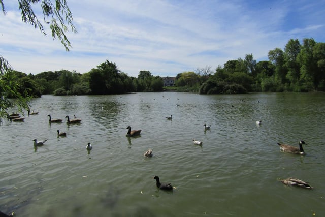 Diana Clark said Baffins Pond is one of her go-to spots with family.