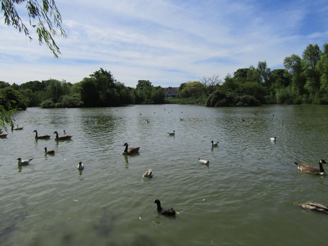 Diana Clark said Baffins Pond is one of her go-to spots with family.
