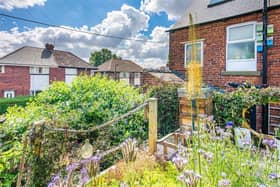 The living roof terrace of George Smallwood's amazing eco shed at his home in Walkley, Sheffield (pic: Spencer The Estate Agent)