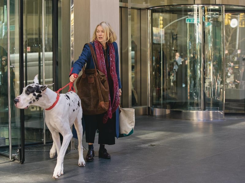 Starring Naomi Watts and Bill Murray, Grassmarket Community Picture House will host a screening of 2025 film The Friend at 7pm this evening.