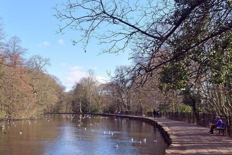 Rivelin Valley Spring Amazing Spring walks in and around Sheffield you can enjoy - from ...