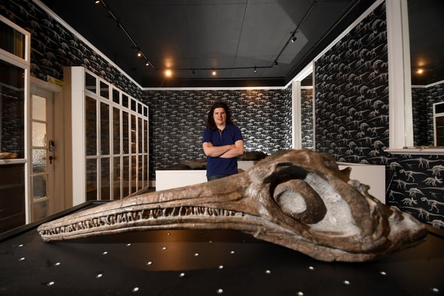 The Yorkshire Natural History Museum, Holme Lane, Sheffield. Founder James Hogg is pictured with a fossil of a Ichthyosaur thought to be 175 million years old. The museum contains a collection of fossils.