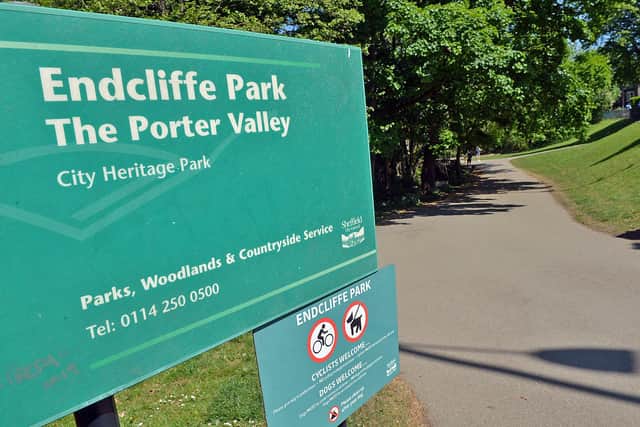 The playground at Endcliffe Park is one of eight reopening throughout the city.